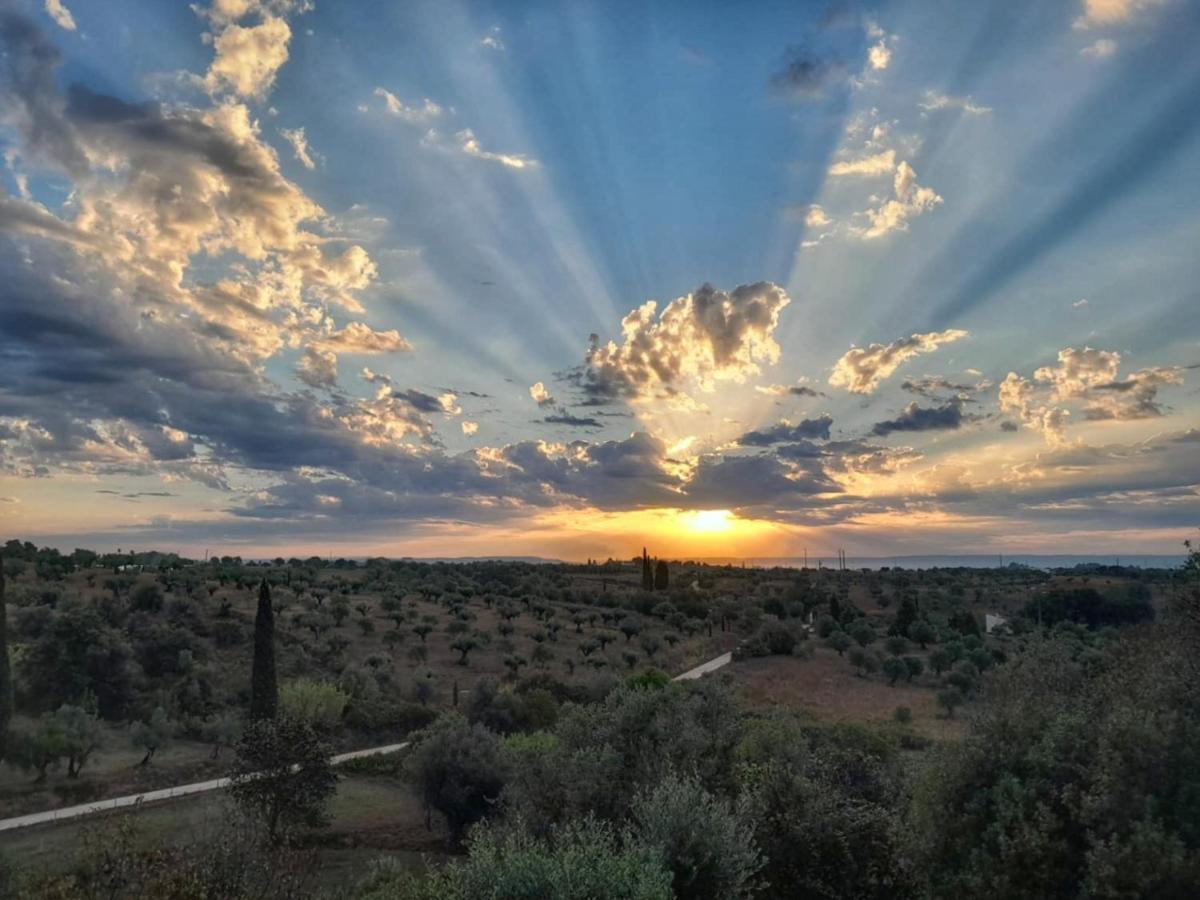 Al Recanto Do Sol Torres Novas Dış mekan fotoğraf
